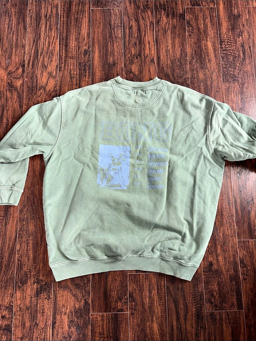 ANINE BING sweatshirt Graphic Sweatshirt in Green